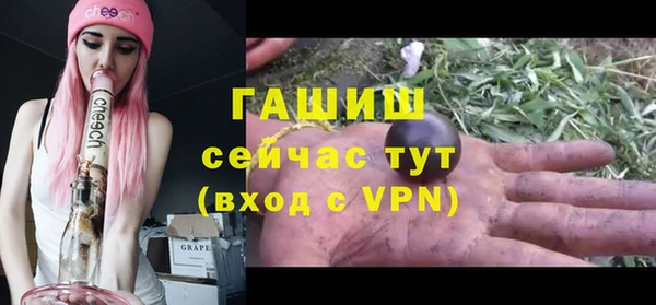 мдпв Инсар
