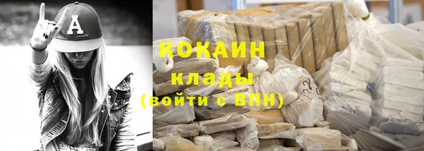 мет Инта