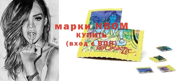 мдпв Инсар