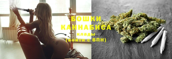 мет Инта