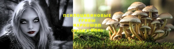мдпв Инсар