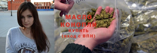 мет Инта