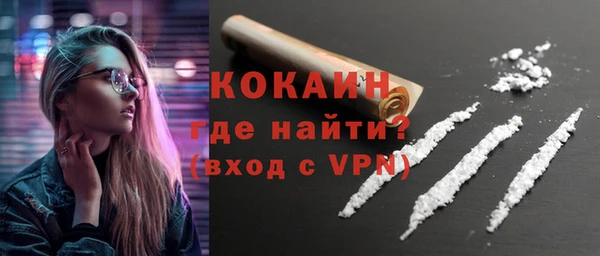 мдпв Инсар
