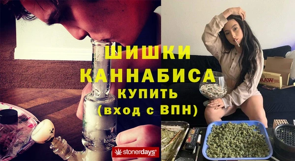 мдпв Инсар