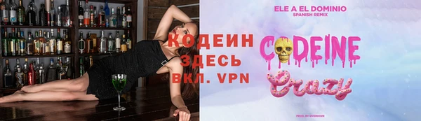 мдпв Инсар