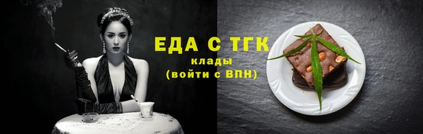 мдпв Инсар
