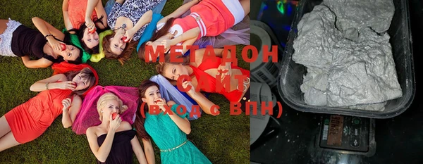 мдпв Инсар