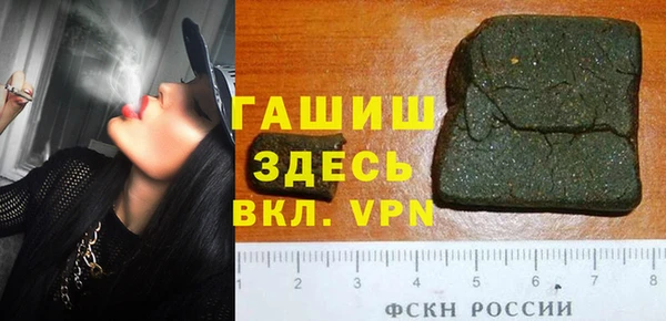мдпв Инсар