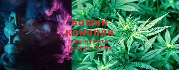 мдпв Инсар