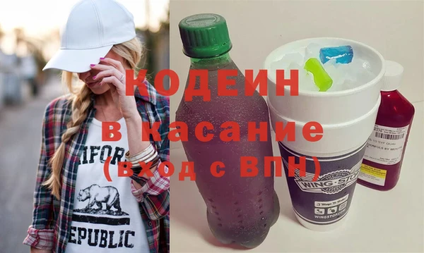 мдпв Инсар
