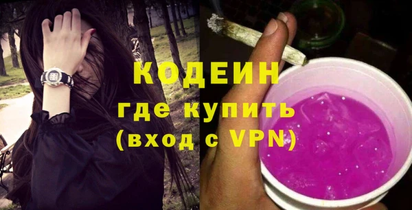 мдпв Инсар
