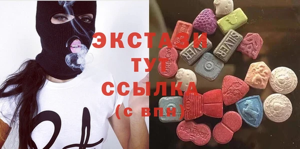 мдпв Инсар
