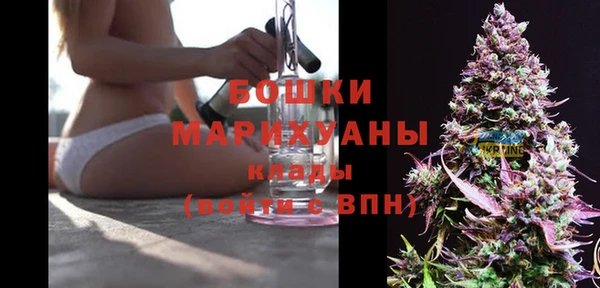 мдпв Инсар