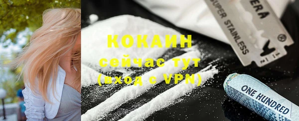 мет Инта