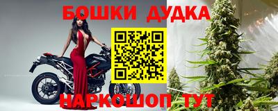 шишки Жуковский