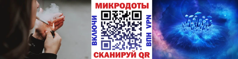 ссылка на мегу рабочий сайт  Новочеркасск  Псилоцибиновые грибы Psilocybine cubensis  купить наркотики сайты 