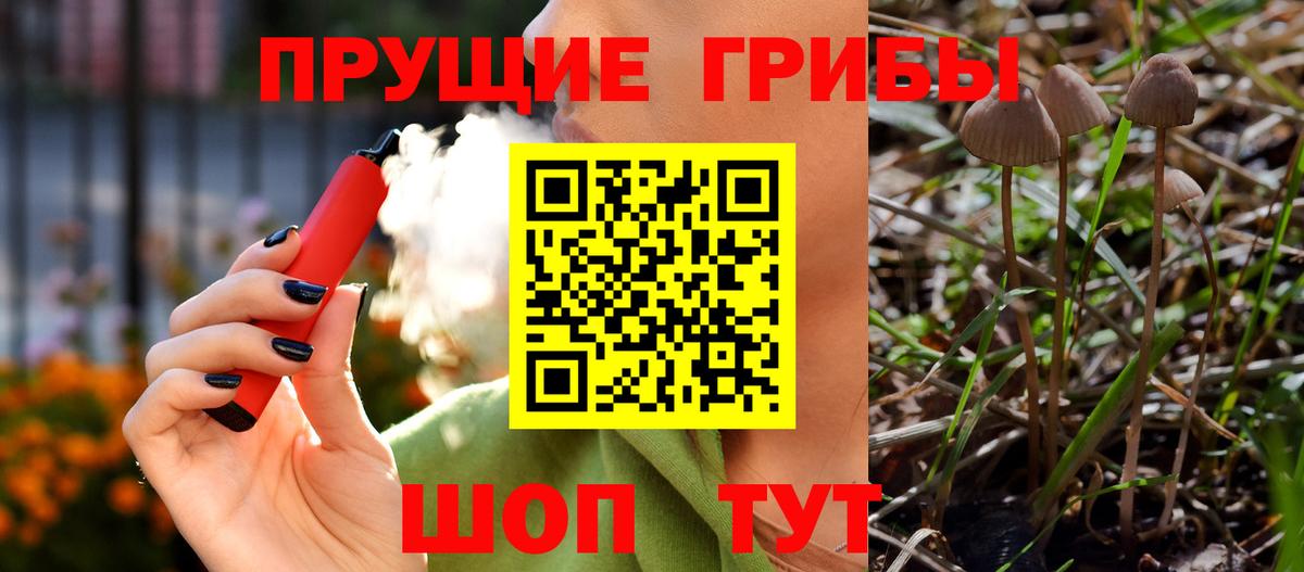Псилоцибиновые грибы MAGIC MUSHROOMS  Псилоцибиновые грибы прущие грибы  Вход с VPN  Новочеркасск 