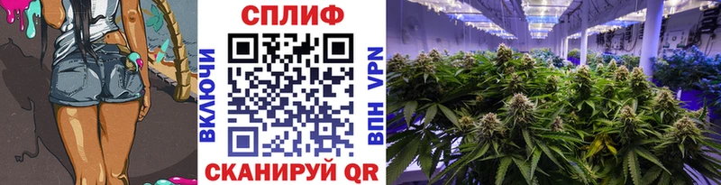 Каннабис Bruce Banner  Новочеркасск 